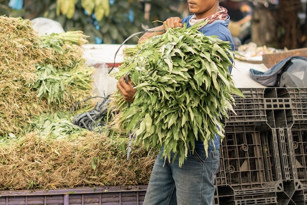 湖南高职专升本率排名榜（湖南高职专升本率排名榜最新）